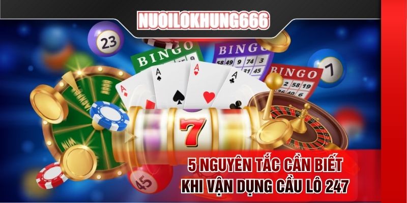 5 nguyên tắc cần biết khi vận dụng cầu lô 247