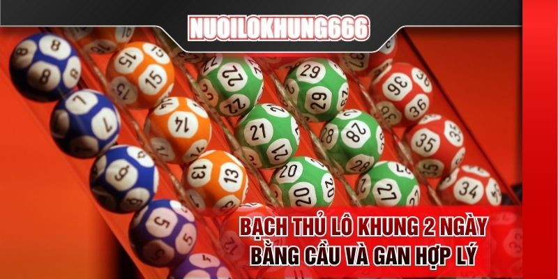 Bạch thủ lô khung 2 ngày bằng cầu và gan hợp lý