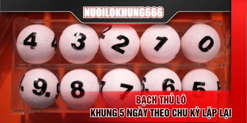 Bạch thủ lô khung 5 ngày theo chu kỳ lặp lại