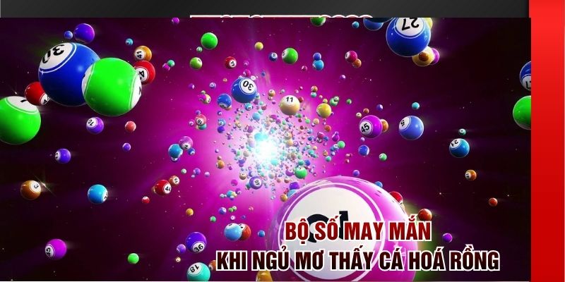 Bộ số may mắn khi ngủ mơ thấy cá hoá rồng