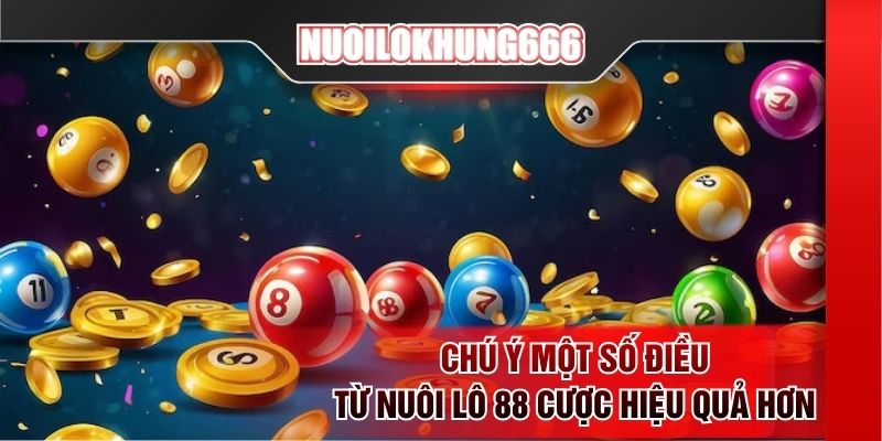 Chú ý một số điều từ nuôi lô 88 cược hiệu quả hơn