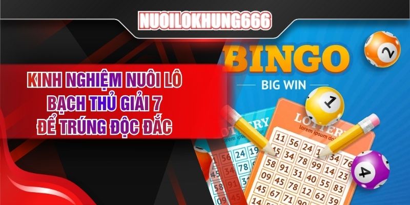 Kinh Nghiệm Nuôi Lô Bạch Thủ Giải 7 Để Trúng Độc Đắc