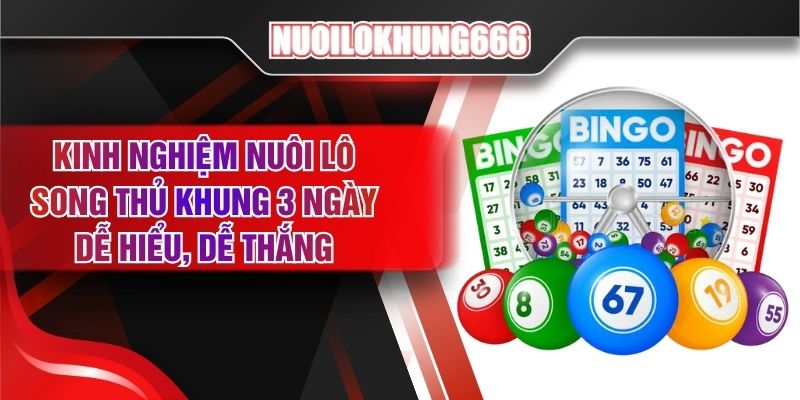 Kinh Nghiệm Nuôi Lô Song Thủ Khung 3 Ngày Dễ Hiểu, Dễ Thắng