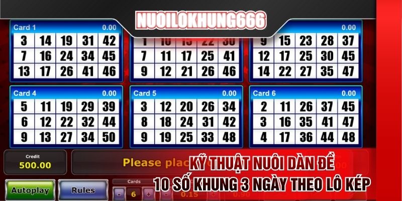 Kỹ thuật nuôi dàn đề 10 số khung 3 ngày theo lô kép
