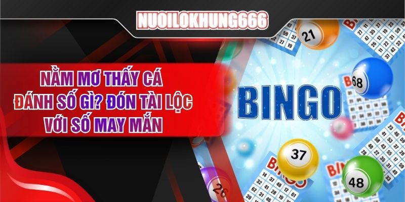 Nằm Mơ Thấy Cá Đánh Số Gì? Đón Tài Lộc Với Số May Mắn
