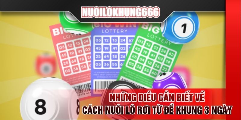 Những điều cần biết về cách nuôi lô rơi từ đề khung 3 ngày