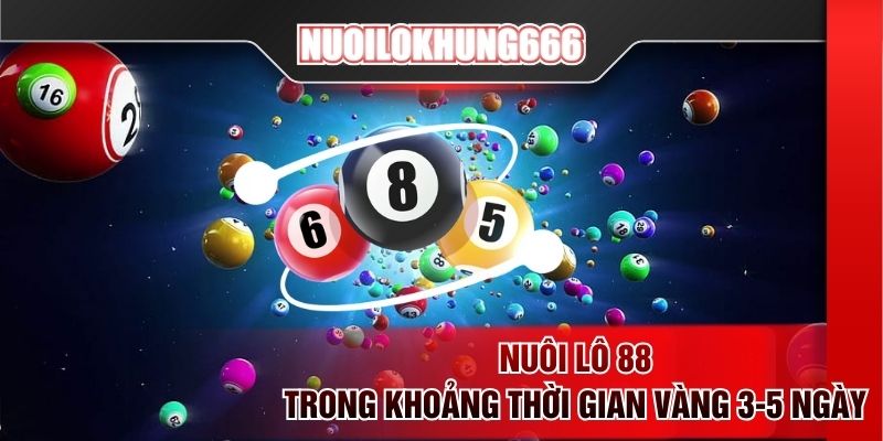 Nuôi lô 88 trong khoảng thời gian vàng 3-5 ngày