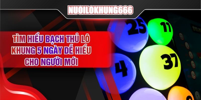 Tìm Hiểu Bạch Thủ Lô Khung 5 Ngày Dễ Hiểu Cho Người Mới
